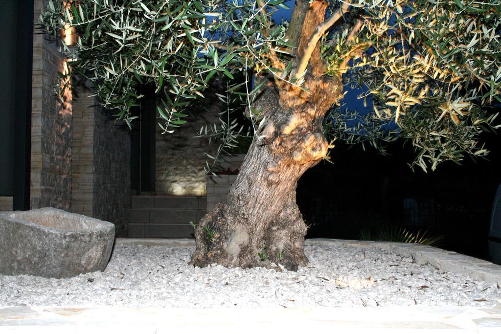 Olive Charm Apartment Umag Bagian luar foto